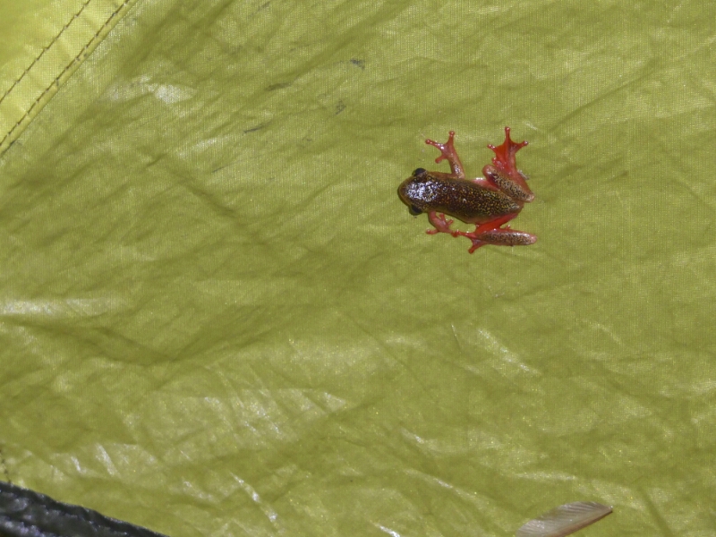 wp-1462686977457 image