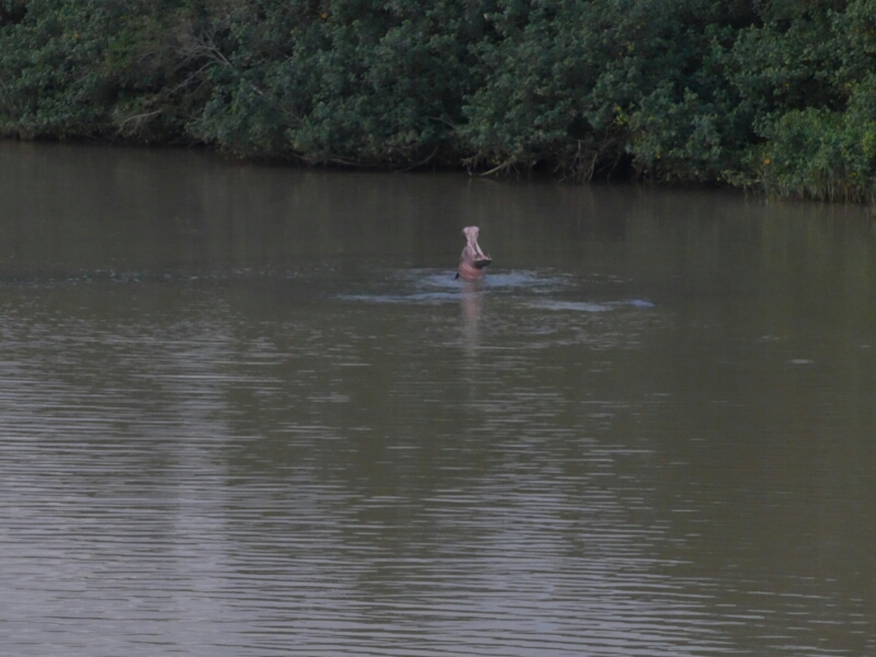 wp-1462688552455 image