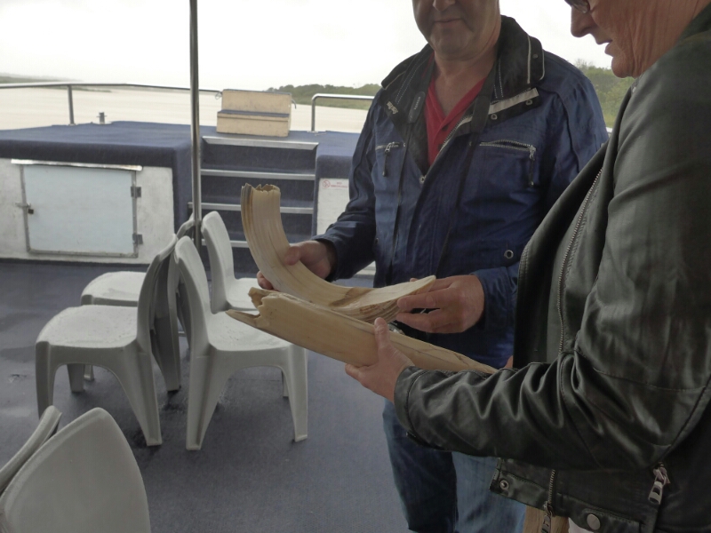 wp-1462733427283 image