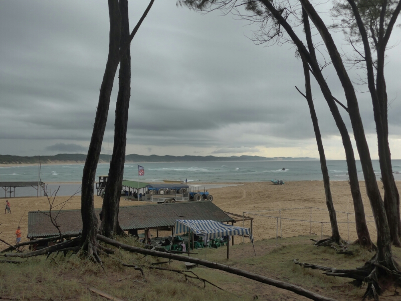 wp-1463374459352 image