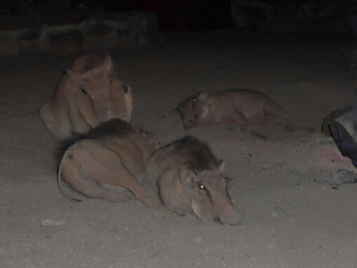 wp-1463720528319 image