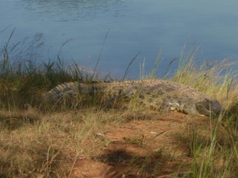 wp-1463721137996 image