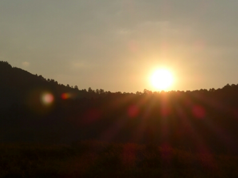 wp-1463721398581 image