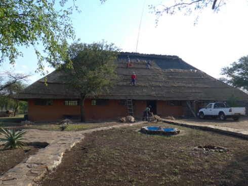 wp-1463809575145 image