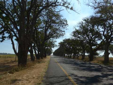 wp-1464376935046 image