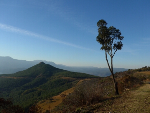 wp-1464382381353 image