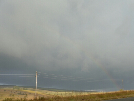 wp-1464385417777 image