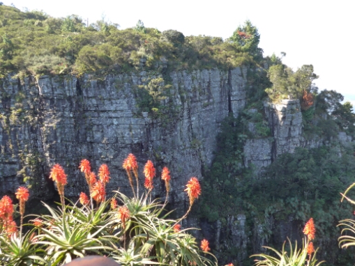 wp-1464556511260 image