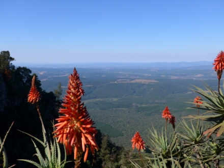 wp-1464556576989 image