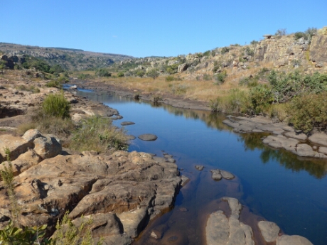 wp-1464558211971 image