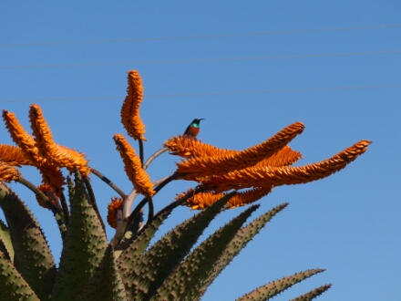 wp-1464560613167 image