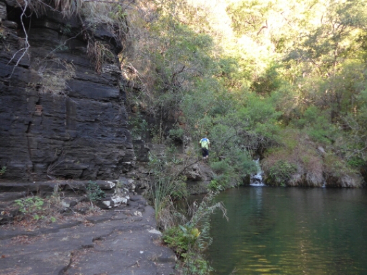 wp-1464561879211 image